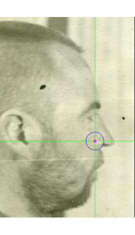 Alare marking on a photograph in lateral view (center) 