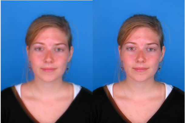 Examples of a low-resolution photograph (left) and a high/standard resolution photograph (right)